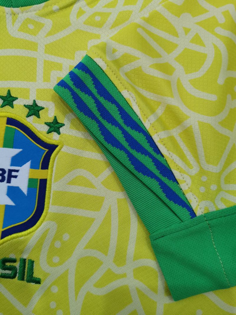 Brasil 2024 local aficionado