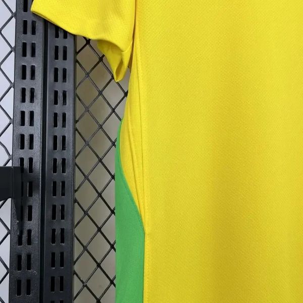 Brazil 2025-2026 Home Fan