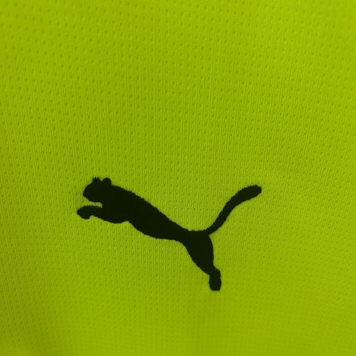 Borussia Dortmund 2025-2026 Special Edition Green Fan
