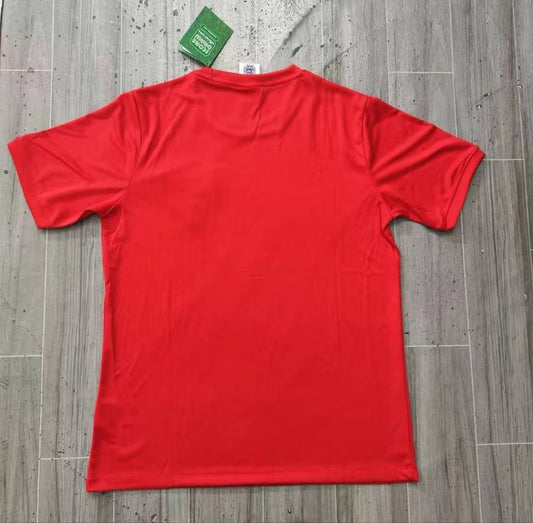 England National Team 1966 Away - Fan Version [Adult]