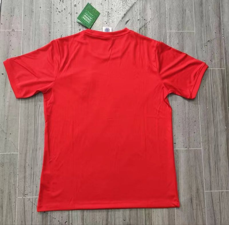 Aficionado del Inglaterra Retro 1966 Visitante v1