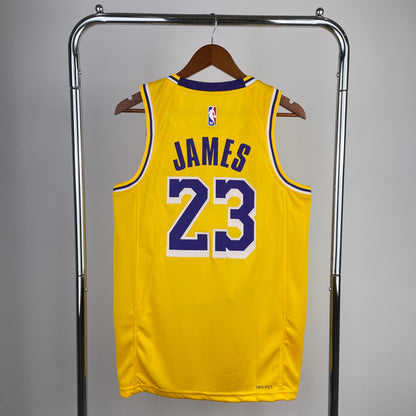 Los Angeles Lakers Icon (Current) - LeBron James #23