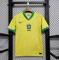 Brasil 2024 local aficionado