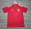 Retro Argentina 2022 Goalkeeper 3stars Red Fan