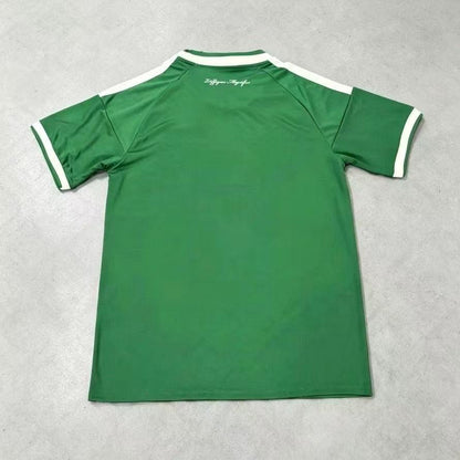 Back view of a green football jersey with white shoulder stripes and sleeve trim
