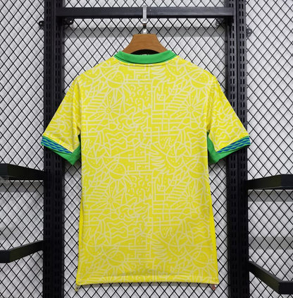 Brasil 2024 local aficionado