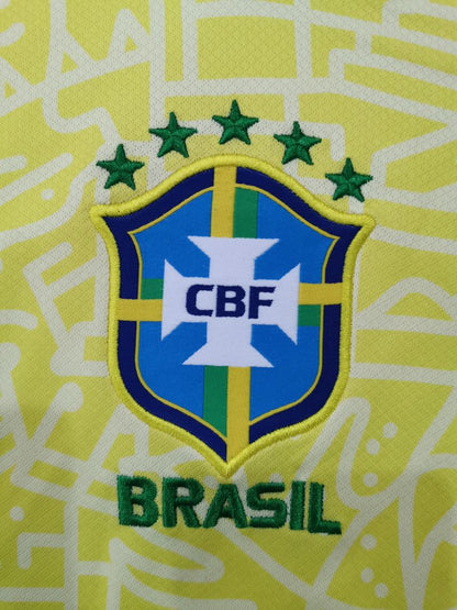 Brasil 2024 local aficionado