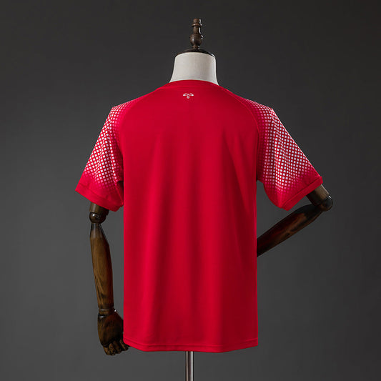 Jordan 2026 Away World Cup Fan
