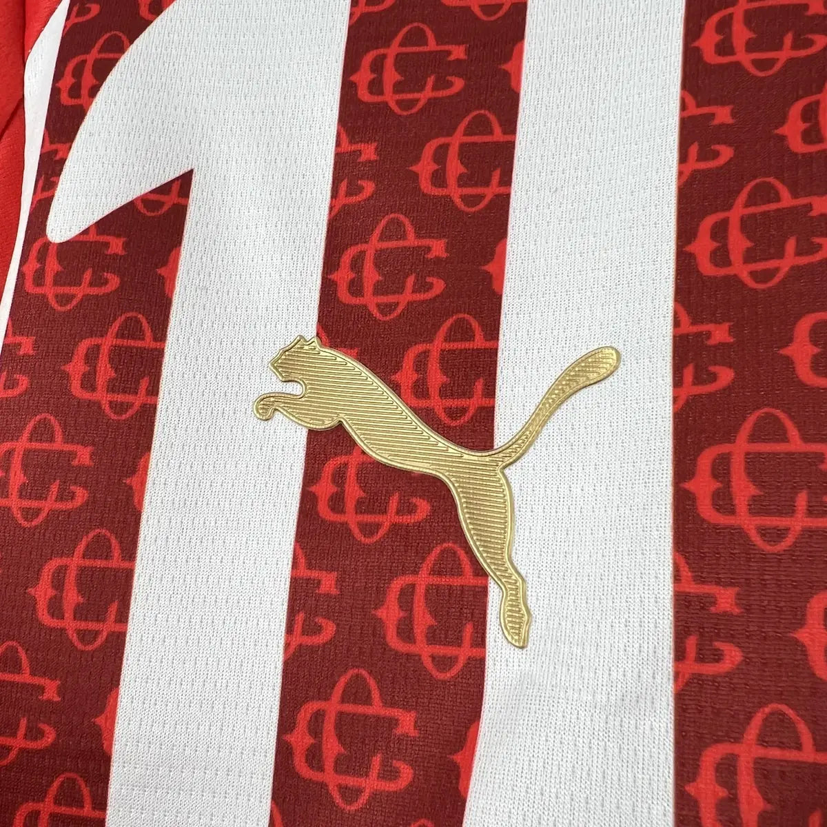 Chivas 2026-2027 Home Fan Jersey - View 5