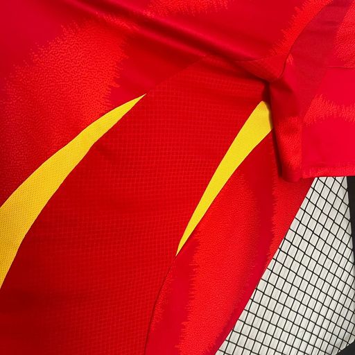 Spain 2024 Home Fan
