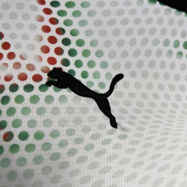 Portugal 2025-2026 Away Fan