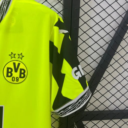 Borussia Dortmund 2025-2026 Special Edition Green Fan