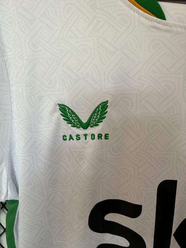 Ireland 2024 Home Fan