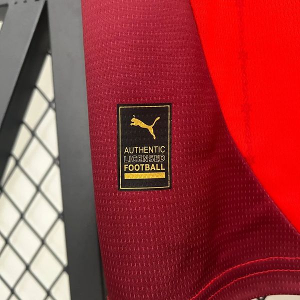 Switzerland 2024 Home Fan