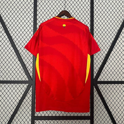 Spain 2024 Home Fan