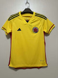 Colombia 2022 FIFA World Cup Home Fan
