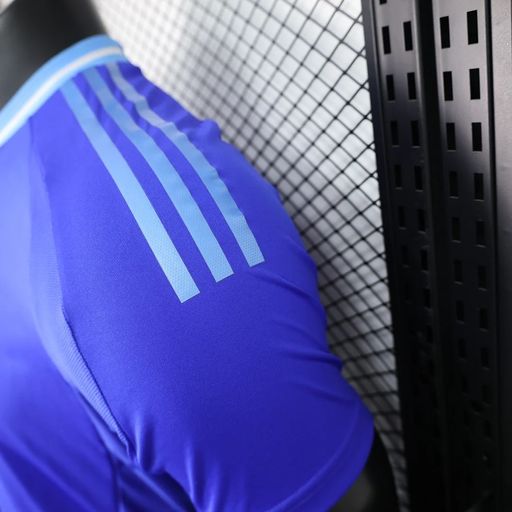 Argentina 2024 Visitante Jugador