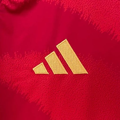 Spain 2024 Home Fan