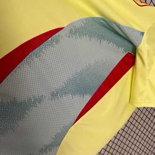 Spain 2024 Away Fan