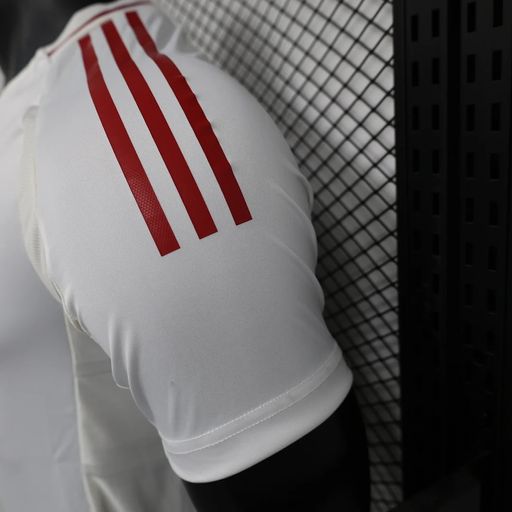 Japan National Team 2024/2025 Away - Player [Adult]