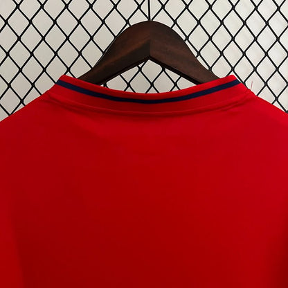 Maillot Rétro Espagne Domicile 2010 Fan