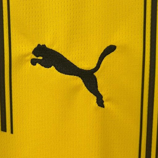 Borussia Dortmund 2024-2025 Home Fan
