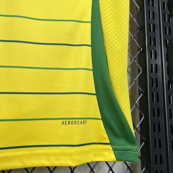 Celtic FC 2024/2025 Away - Fan [Adult]