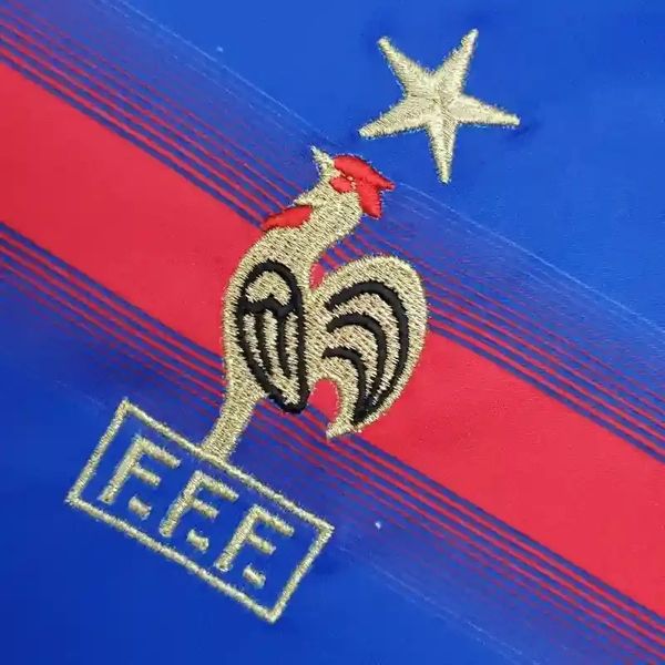 Retro France 2004 Home Fan