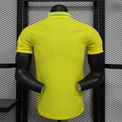 Brazil 2024 Home Player