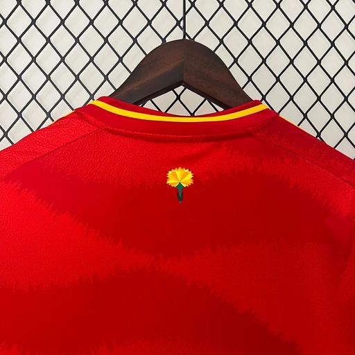 Spain 2024 Home Fan