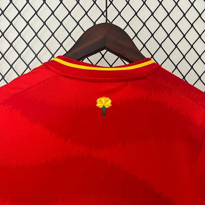 Spain 2024 Home Fan