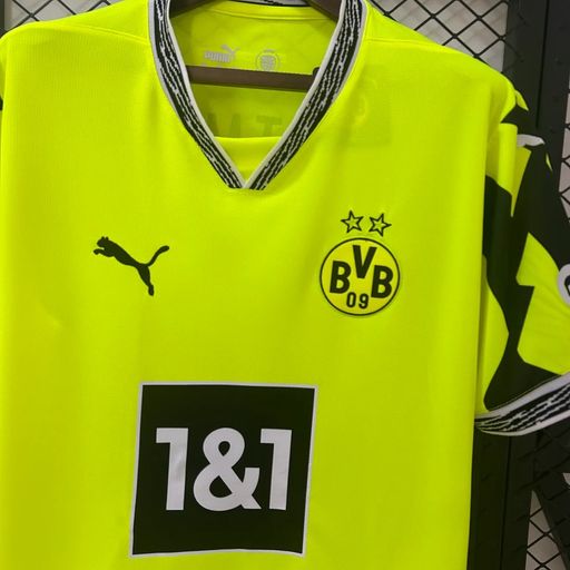 Borussia Dortmund 2025-2026 Special Edition Green Fan