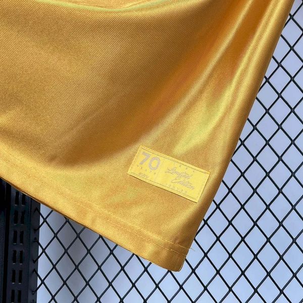 Wolverhampton Wanderers 2025/2026 Special Edition - Fan Version [Adult]