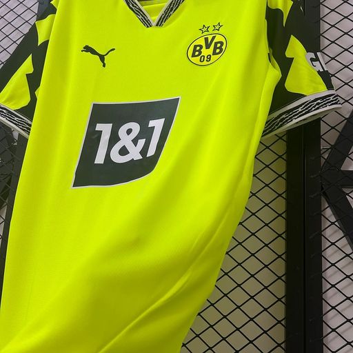 Borussia Dortmund 2025-2026 Special Edition Green Fan