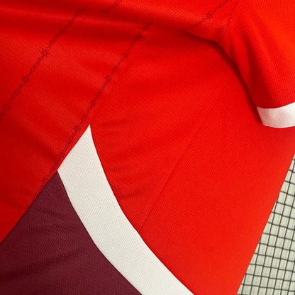Switzerland 2024 Home Fan