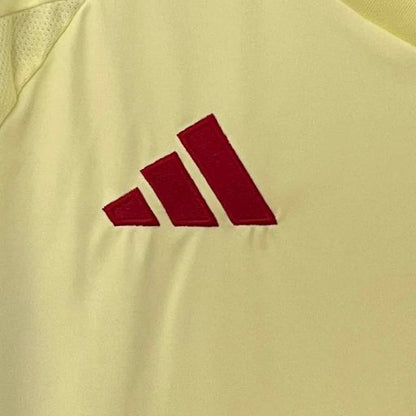 Spain 2024 Away Fan