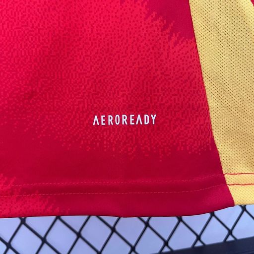 Spain National Team 2024/2025 Home - Fan [Adult]