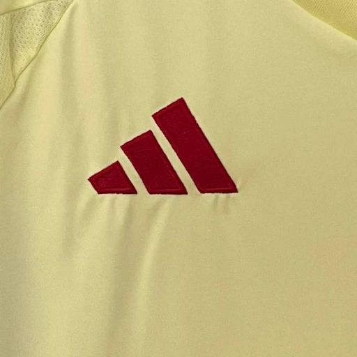 Selección Nacional de España 2024/2025 Visitante - Aficionado [Adulto]