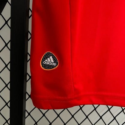 Maillot Rétro Espagne Domicile 2010 Fan