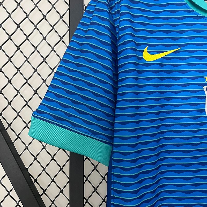 Brazil 2024 Away Fan