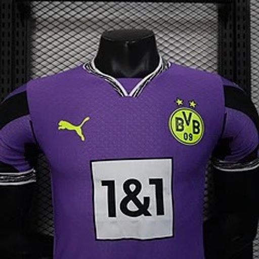 Borussia Dortmund 2025-2026 Goalkeeper Player