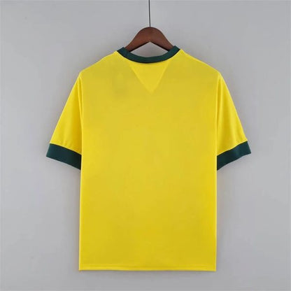 Retro Brazil 1970 Home Fan
