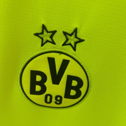 Borussia Dortmund 2025-2026 Special Edition Green Fan