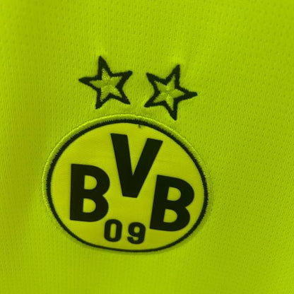 Borussia Dortmund 2025-2026 Special Edition Green Fan