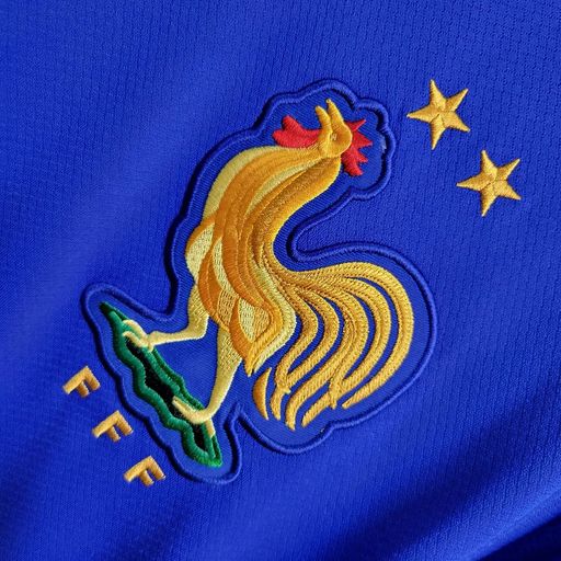 France 2024 Home Fan