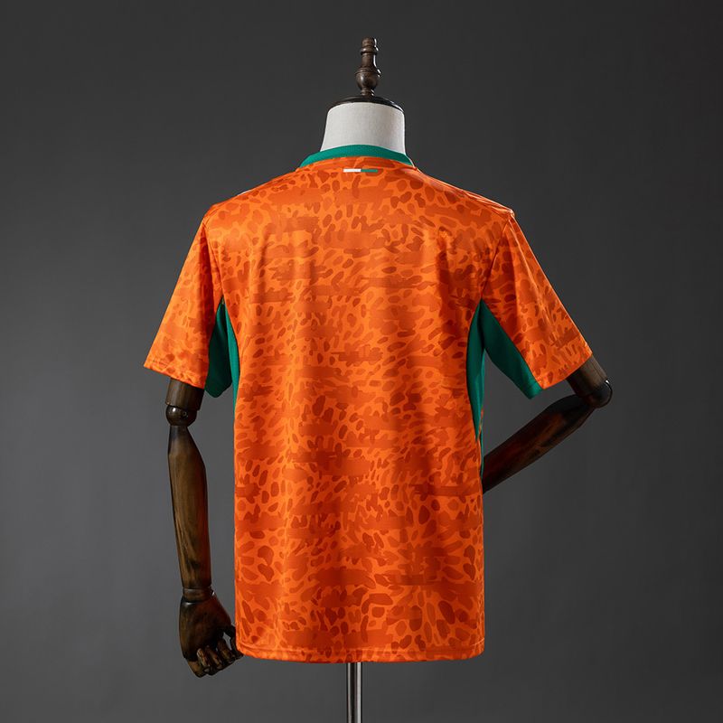 Ivory Coast National Team 2026 Home - Fan Version [Adult]