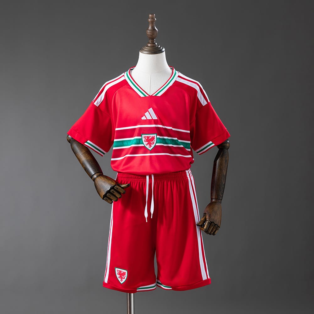 Gales Selección Nacional 2026 Local - Versión Aficionado [Niños]