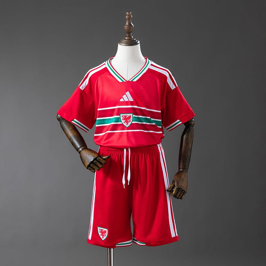 Wales National Team 2026 Home - Fan Version [Kids]