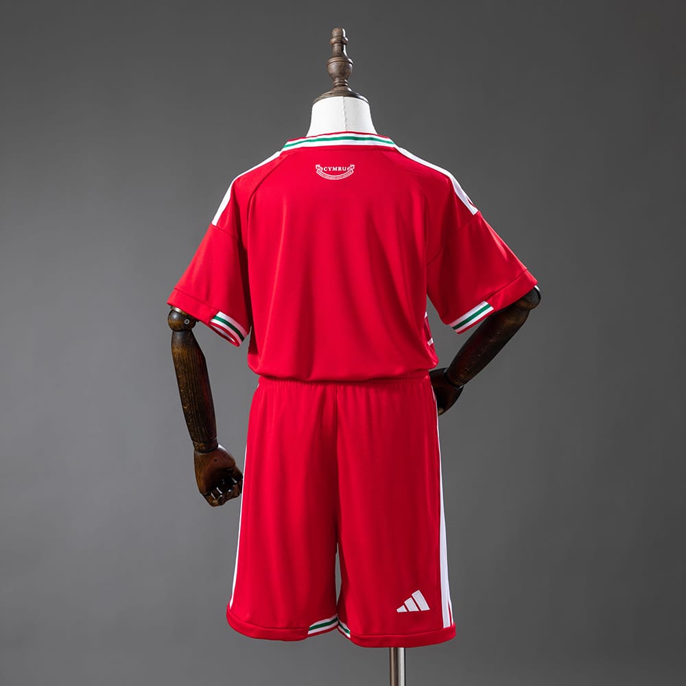 Gales Selección Nacional 2026 Local - Versión Aficionado [Niños]