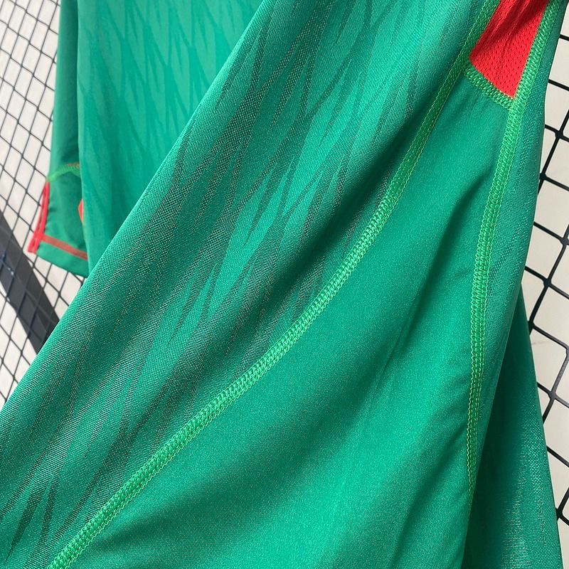 Mexico National Team 2010 Home - Fan Version Adult